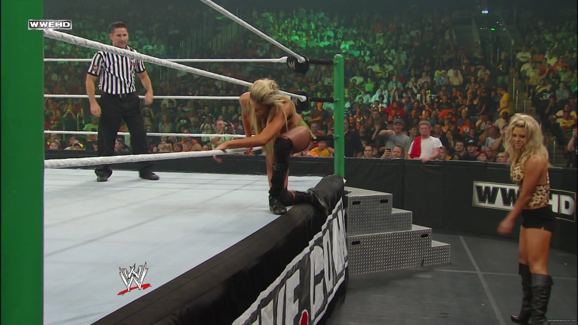 WWE_Money_In_The_Bank_2010_Kelly_vs_Layla_mp40546.jpg