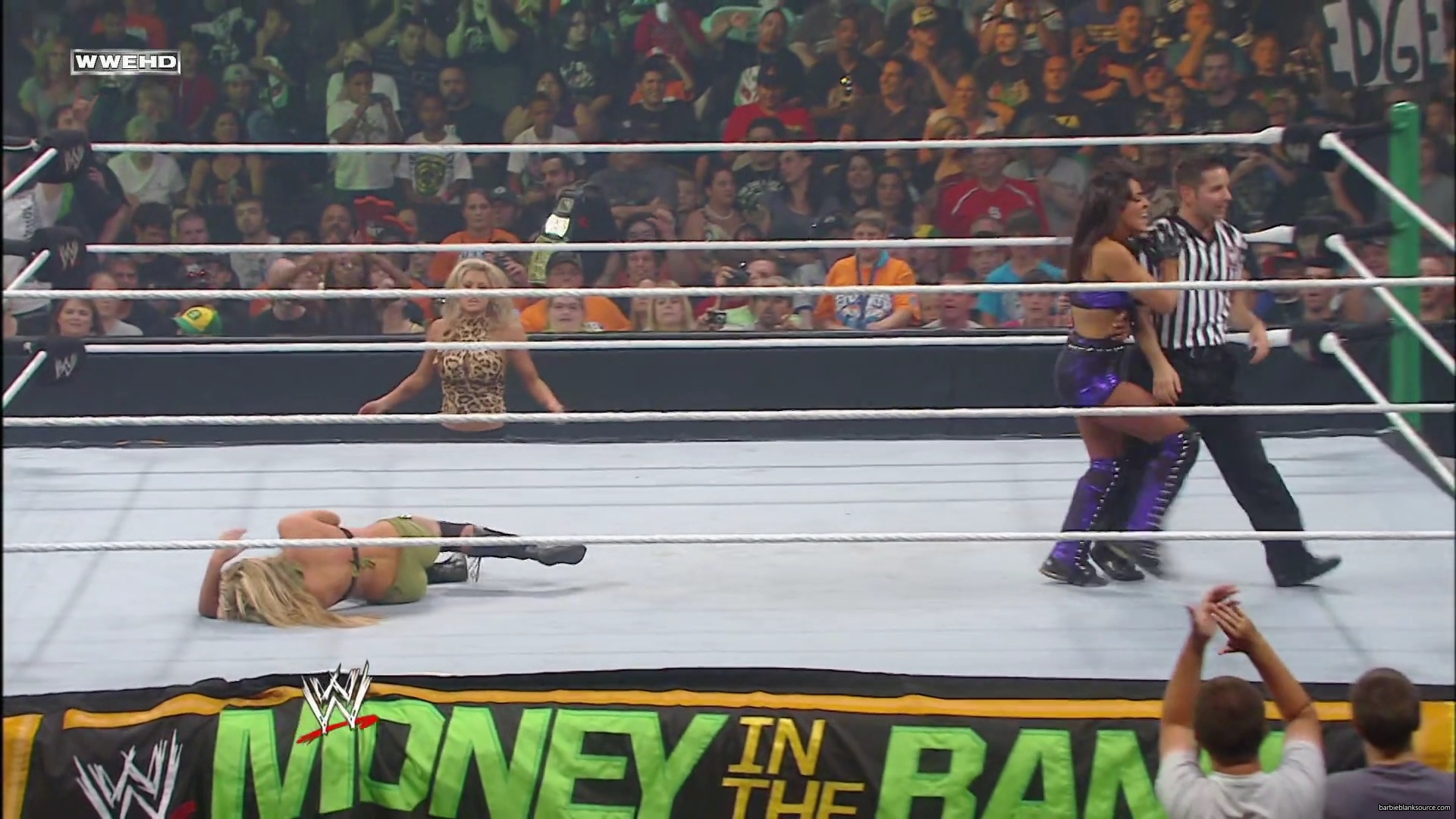 WWE_Money_In_The_Bank_2010_Kelly_vs_Layla_mp40562.jpg
