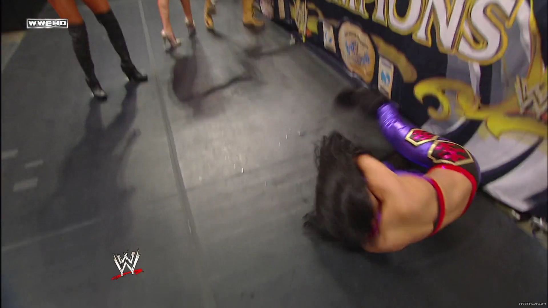 WWE_Night_Of_Champions_2010_Melina_vs_Michelle_mp41014.jpg