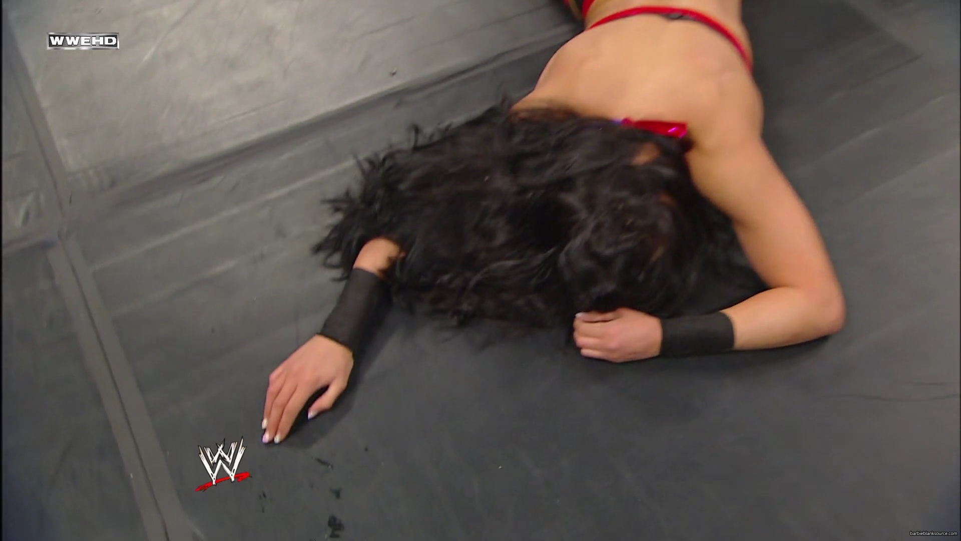 WWE_Night_Of_Champions_2010_Melina_vs_Michelle_mp41016.jpg
