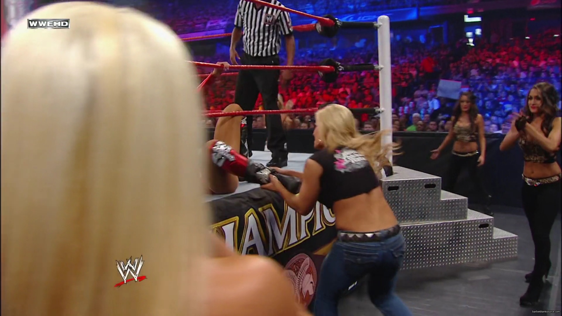 WWE_Night_Of_Champions_2010_Melina_vs_Michelle_mp41175.jpg