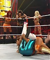 WWE_Royal_Rumble_2012_Alicia_Eve_Kelly_Tamina_vs_Bella_Twins_Beth_Natalya_mp40599.jpg