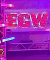 WWE_ECW_07_17_07_Extreme_Expose_Segment_mp40072.jpg