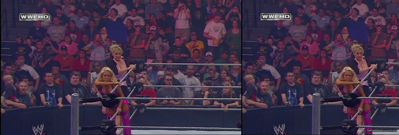 WWE_ECW_05_13_08_Cherry_Kelly_Michelle_vs_Layla_Natalya_Victoria_mp40578.jpg