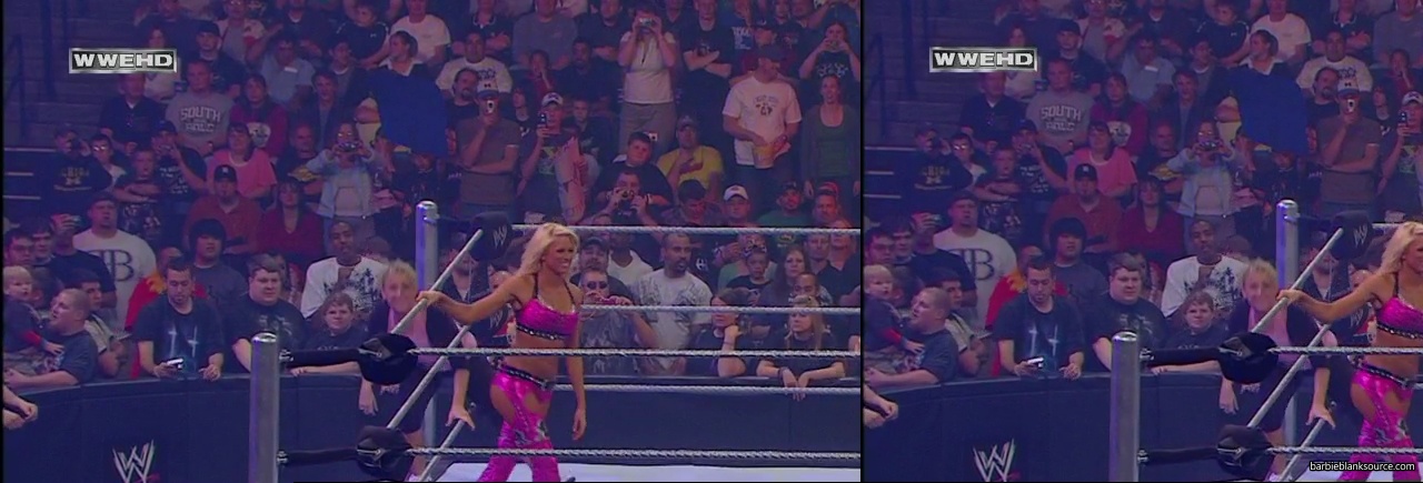 WWE_ECW_05_13_08_Cherry_Kelly_Michelle_vs_Layla_Natalya_Victoria_mp40580.jpg