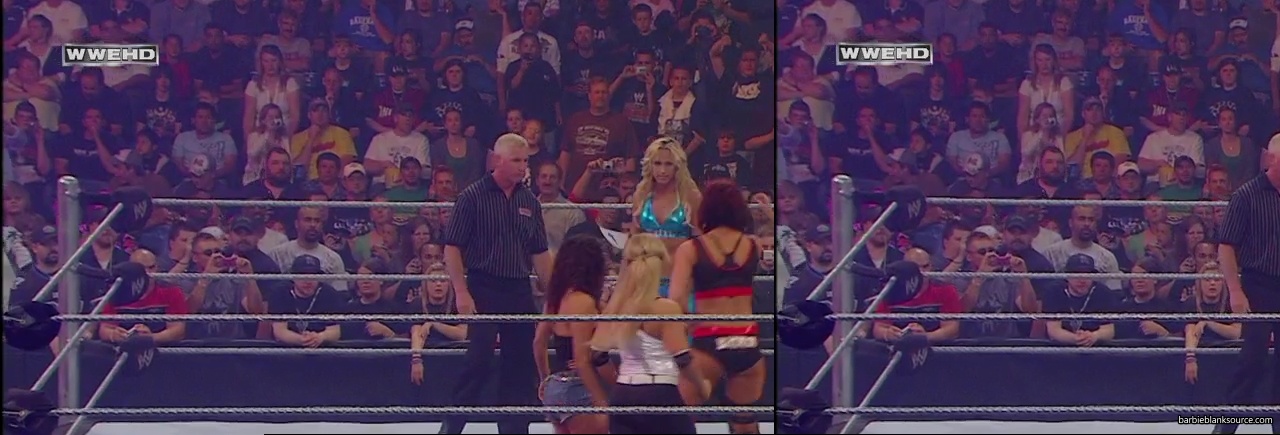 WWE_ECW_05_13_08_Cherry_Kelly_Michelle_vs_Layla_Natalya_Victoria_mp40630.jpg