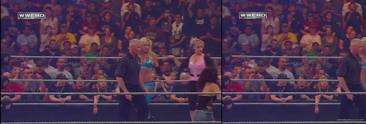 WWE_ECW_05_13_08_Cherry_Kelly_Michelle_vs_Layla_Natalya_Victoria_mp40631.jpg