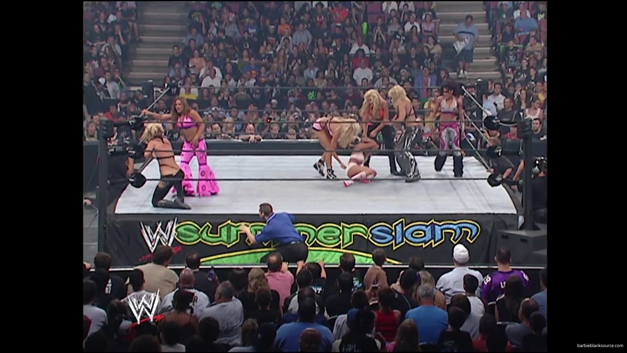 WWE_Summerslam_2007_Divas_Battle_Royal_mp40421.jpg