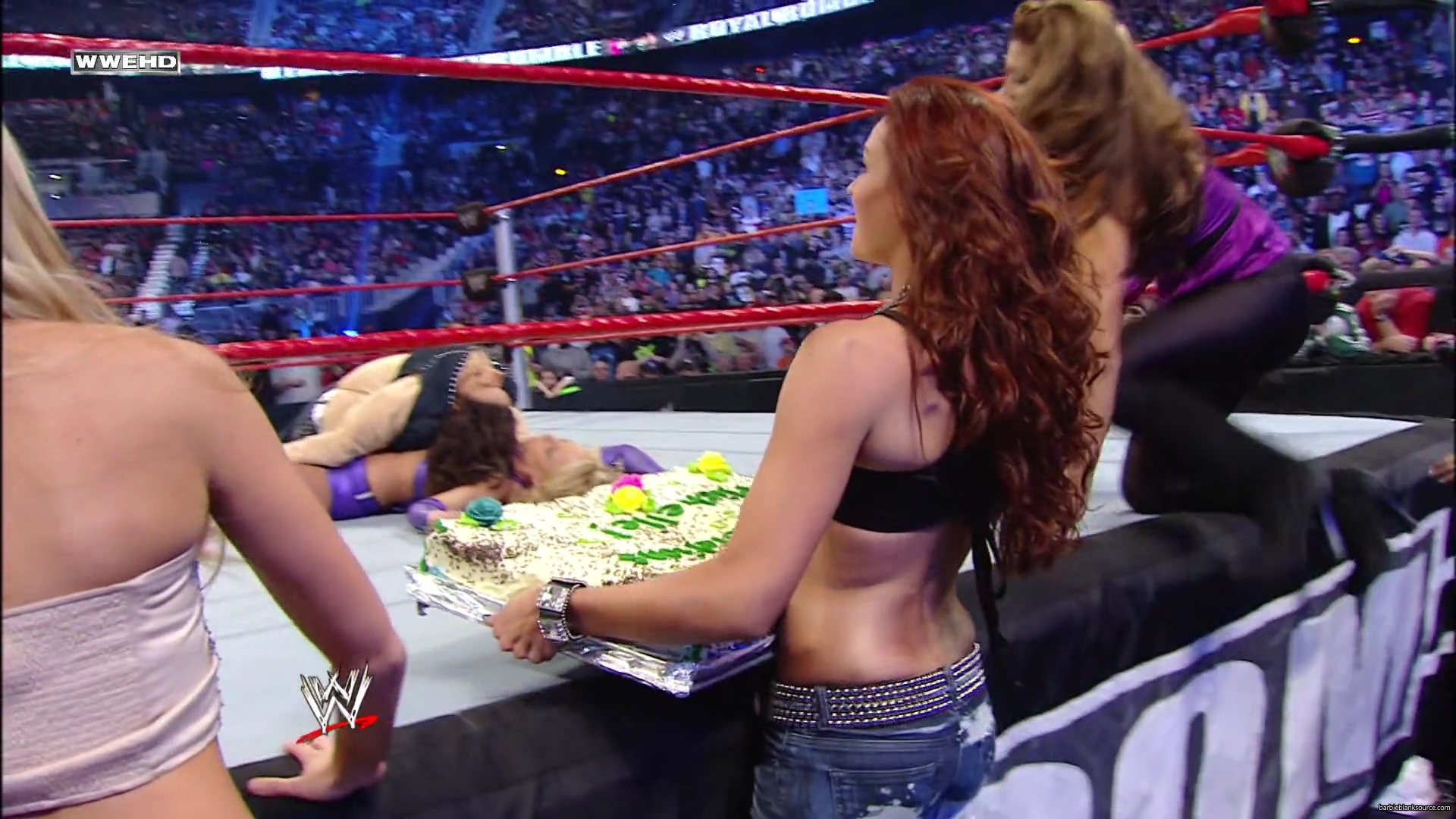 WWE_Royal_Rumble_2010_Michelle_vs_Mickie_mp40620.jpg