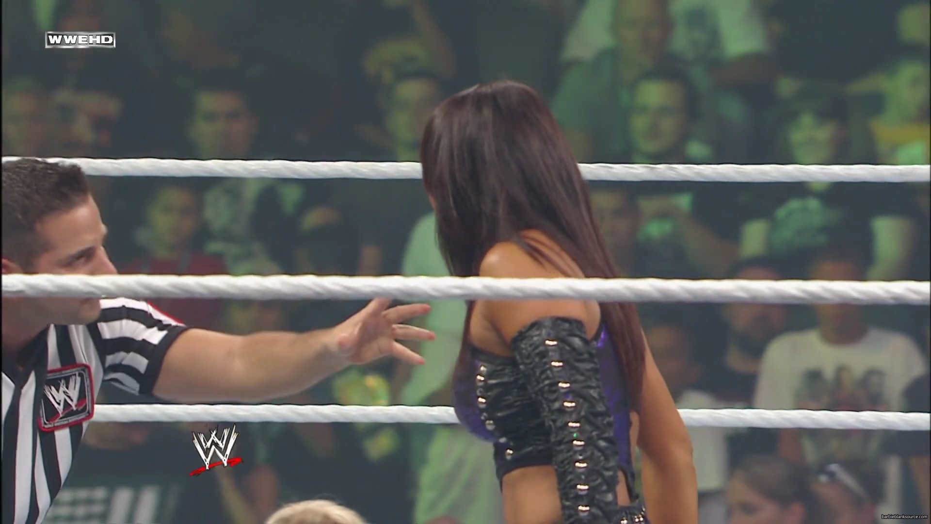 WWE_Money_In_The_Bank_2010_Kelly_vs_Layla_mp40330.jpg