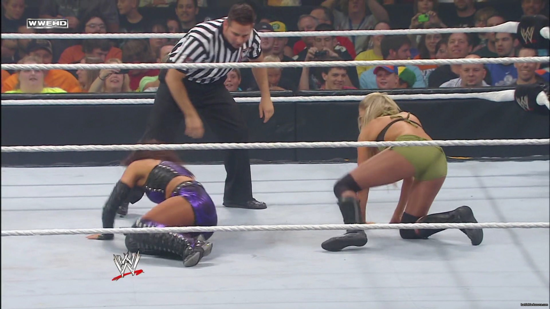 WWE_Money_In_The_Bank_2010_Kelly_vs_Layla_mp40339.jpg