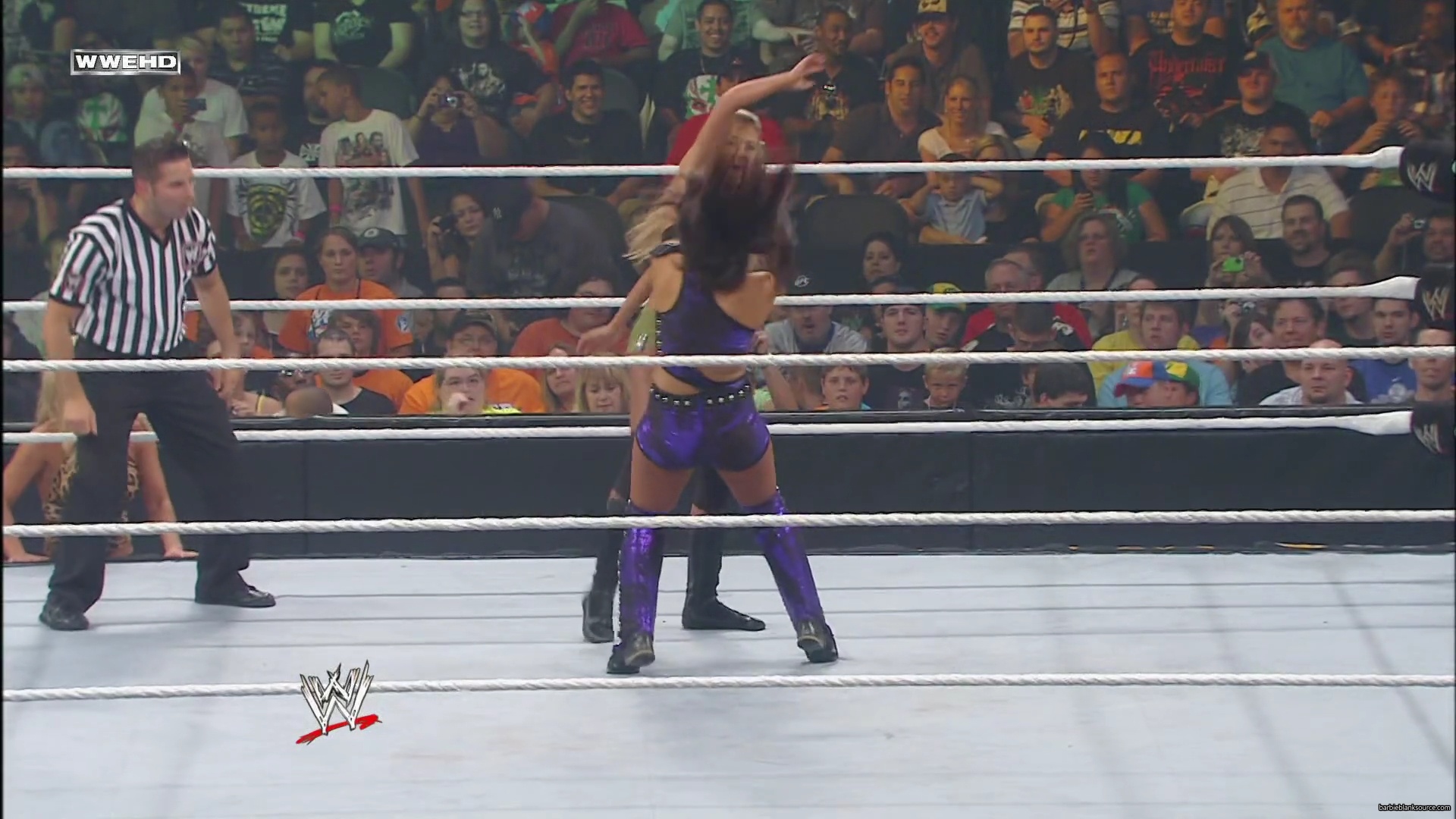WWE_Money_In_The_Bank_2010_Kelly_vs_Layla_mp40346.jpg