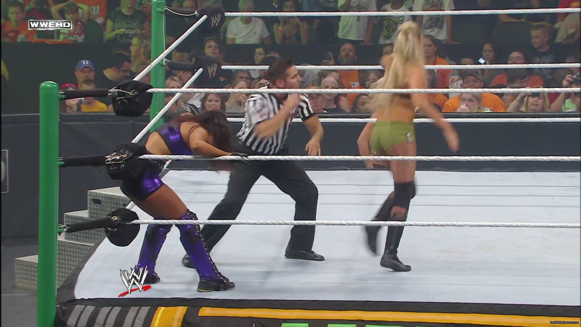 WWE_Money_In_The_Bank_2010_Kelly_vs_Layla_mp40356.jpg