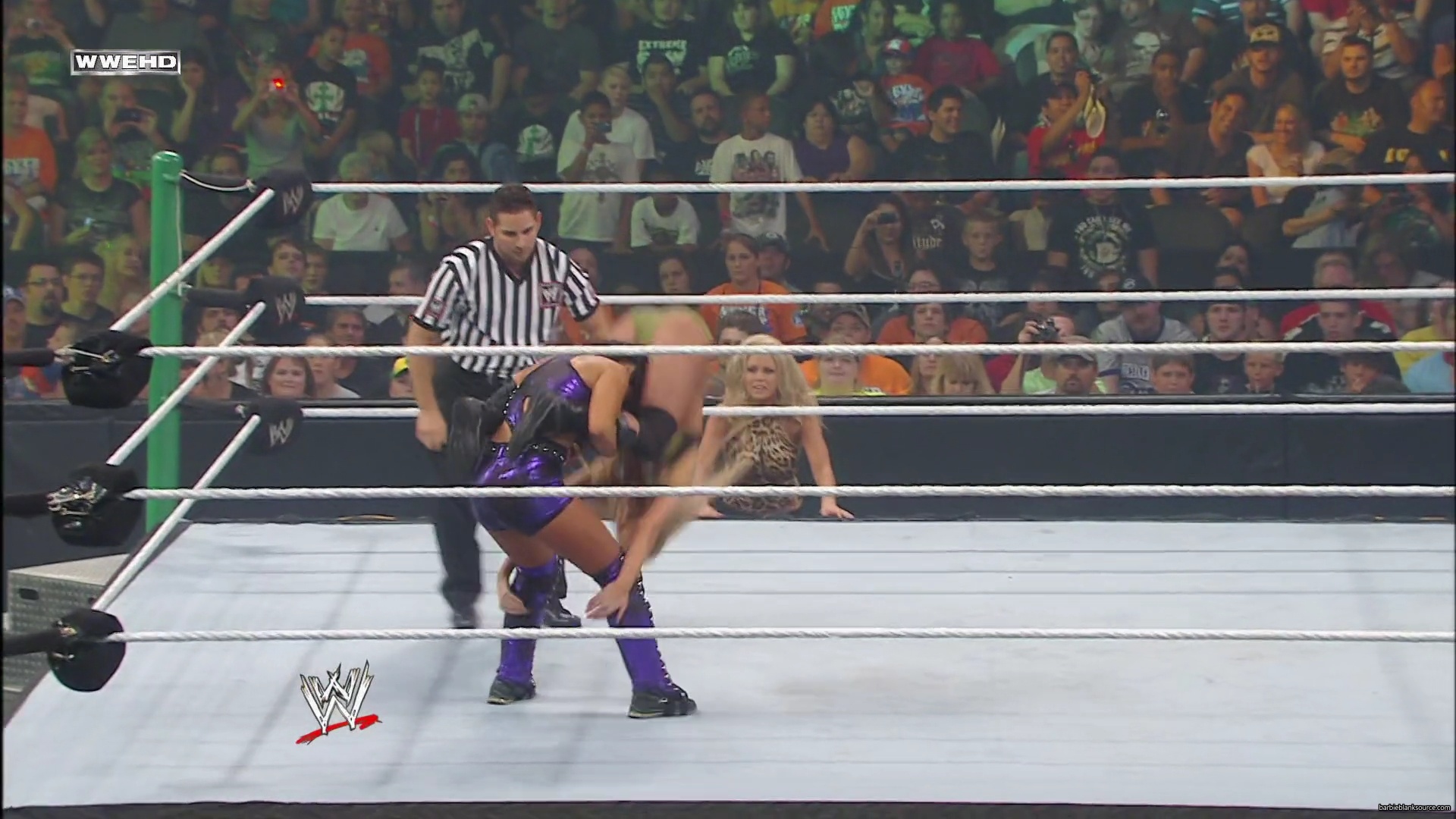 WWE_Money_In_The_Bank_2010_Kelly_vs_Layla_mp40371.jpg
