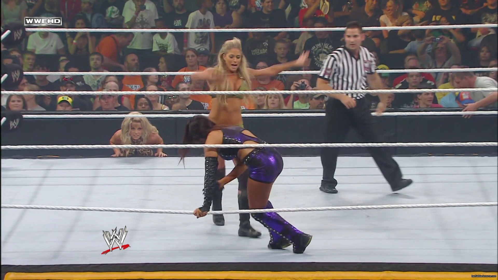 WWE_Money_In_The_Bank_2010_Kelly_vs_Layla_mp40380.jpg