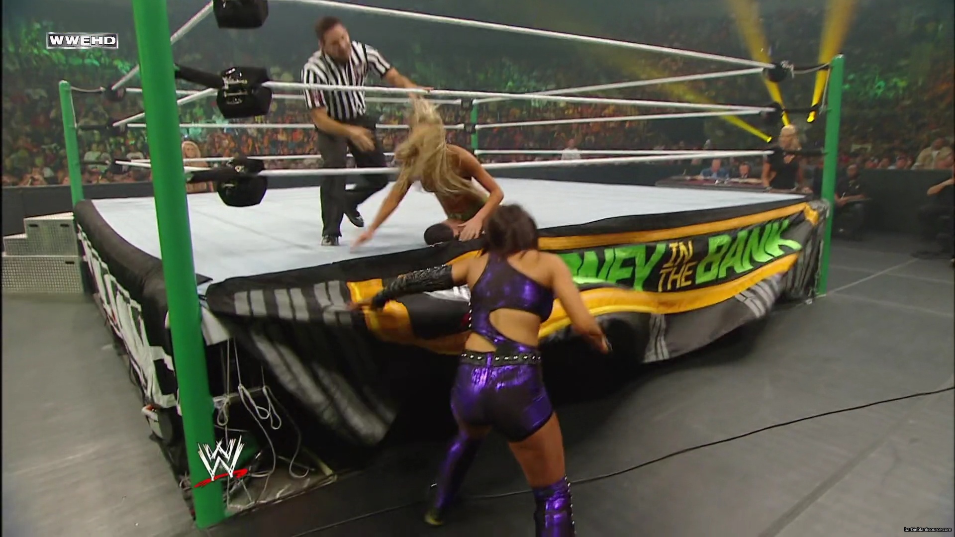 WWE_Money_In_The_Bank_2010_Kelly_vs_Layla_mp40392.jpg