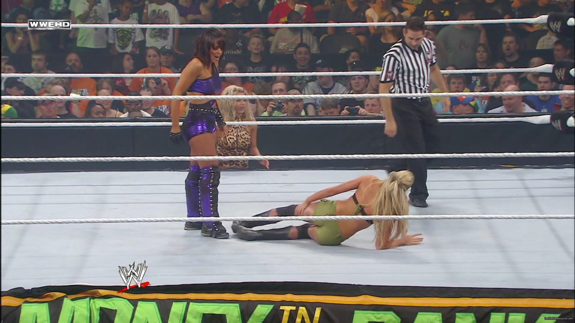 WWE_Money_In_The_Bank_2010_Kelly_vs_Layla_mp40418.jpg