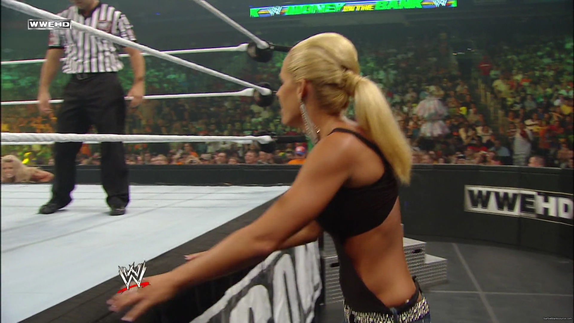 WWE_Money_In_The_Bank_2010_Kelly_vs_Layla_mp40423.jpg