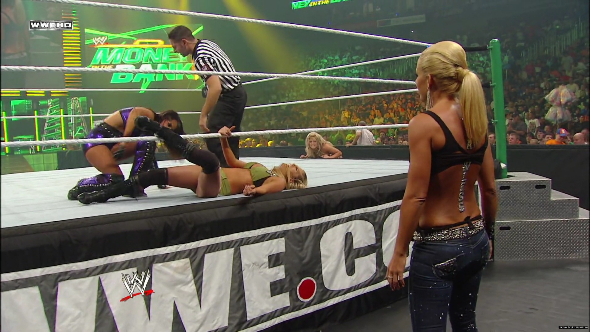 WWE_Money_In_The_Bank_2010_Kelly_vs_Layla_mp40440.jpg