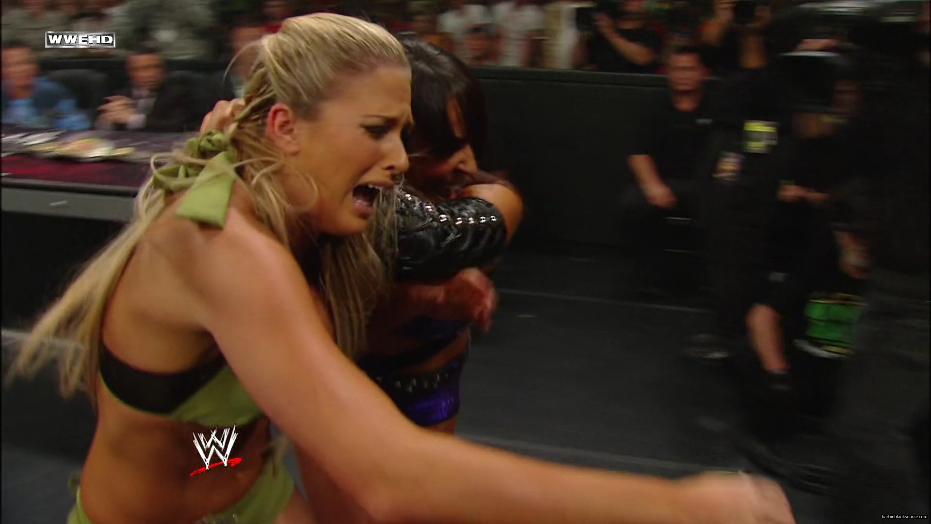 WWE_Money_In_The_Bank_2010_Kelly_vs_Layla_mp40457.jpg
