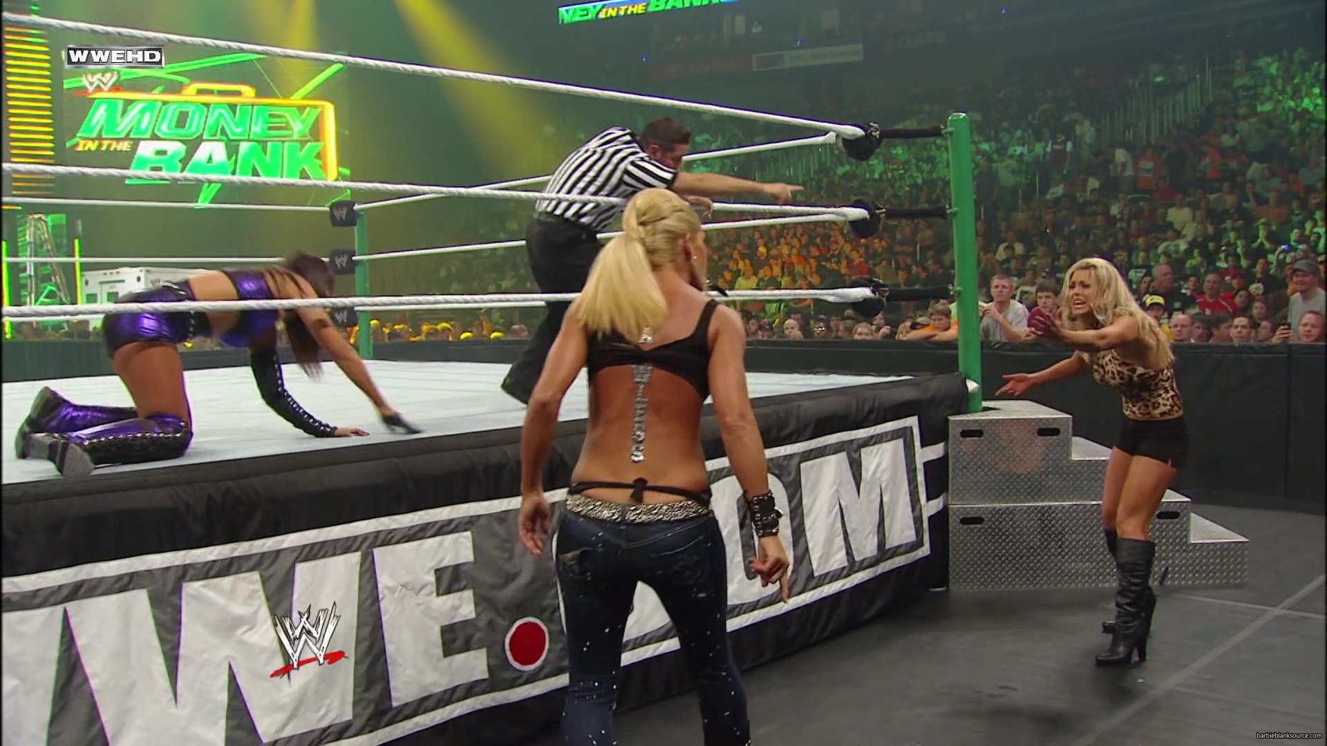 WWE_Money_In_The_Bank_2010_Kelly_vs_Layla_mp40466.jpg