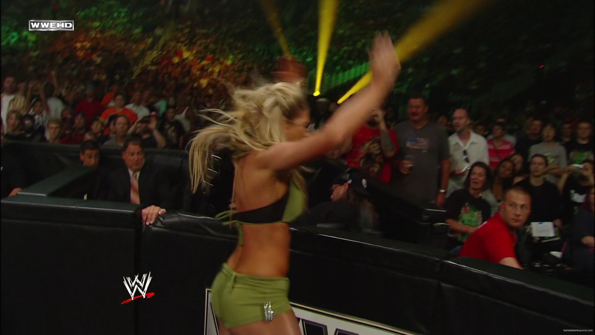 WWE_Money_In_The_Bank_2010_Kelly_vs_Layla_mp40488.jpg