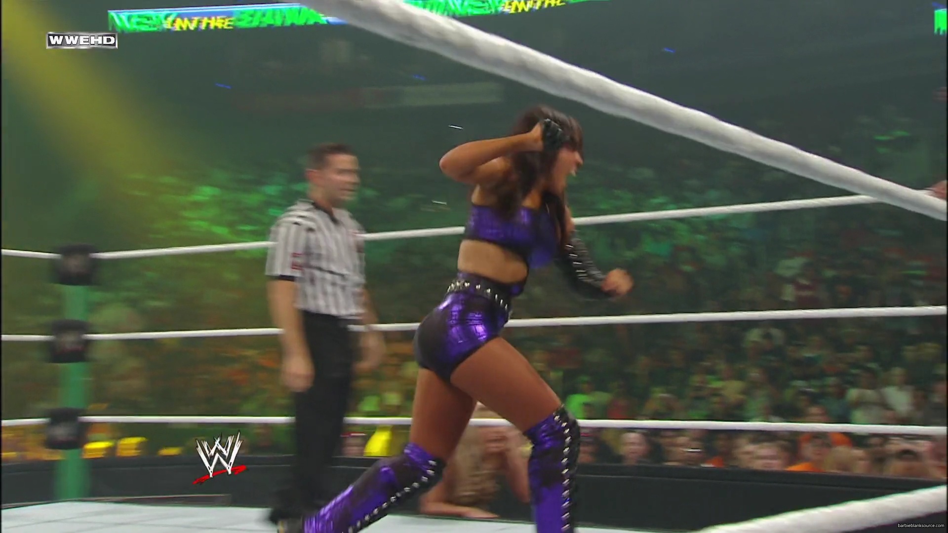 WWE_Money_In_The_Bank_2010_Kelly_vs_Layla_mp40517.jpg