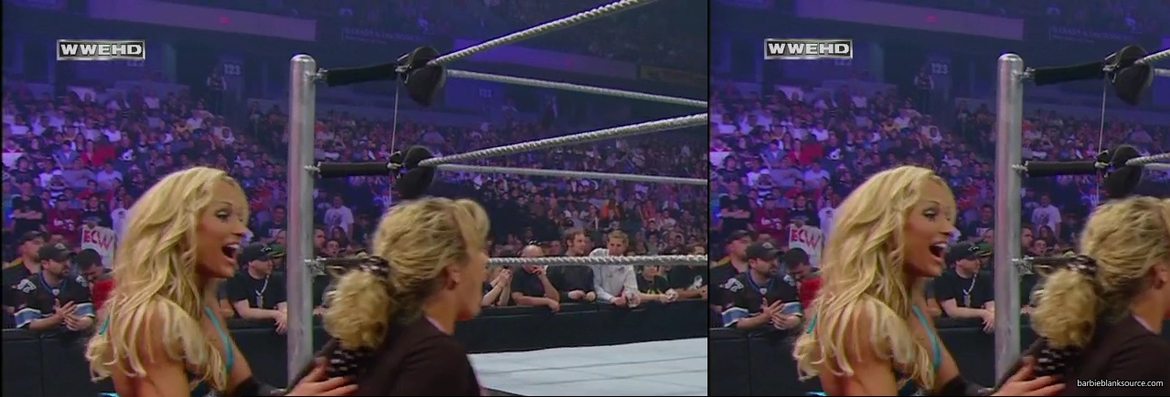 WWE_ECW_05_13_08_Cherry_Kelly_Michelle_vs_Layla_Natalya_Victoria_mp40921.jpg