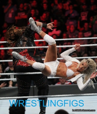 WWE-Royal-Rumble-1-28-18-1549.jpg